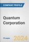 Quantum Corporation Fundamental Company Report Including Financial, SWOT, Competitors and Industry Analysis - Product Thumbnail Image