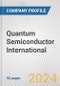 Quantum Semiconductor International Fundamental Company Report Including Financial, SWOT, Competitors and Industry Analysis - Product Image