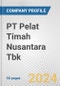 PT Pelat Timah Nusantara Tbk Fundamental Company Report Including Financial, SWOT, Competitors and Industry Analysis - Product Thumbnail Image