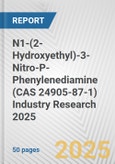 N1-(2-Hydroxyethyl)-3-Nitro-P-Phenylenediamine (CAS 24905-87-1) Industry Research 2025: Global and Regional Market Trends 2019-2024 and Forecast to 2029- Product Image