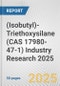 (Isobutyl)-Triethoxysilane (CAS 17980-47-1) Industry Research 2025: Global and Regional Market Trends 2019-2024 and Forecast to 2029 - Product Image