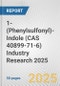 1-(Phenylsulfonyl)-Indole (CAS 40899-71-6) Industry Research 2025: Global and Regional Market Trends 2019-2024 and Forecast to 2029 - Product Image