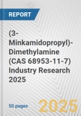 (3-Minkamidopropyl)-Dimethylamine (CAS 68953-11-7) Industry Research 2025: Global and Regional Market Trends 2019-2024 and Forecast to 2029- Product Image