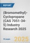 (Bromomethyl)-Cyclopropane (CAS 7051-34-5) Industry Research 2025: Global and Regional Market Trends 2019-2024 and Forecast to 2029 - Product Image