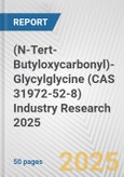 (N-Tert-Butyloxycarbonyl)-Glycylglycine (CAS 31972-52-8) Industry Research 2025: Global and Regional Market Trends 2019-2024 and Forecast to 2029- Product Image