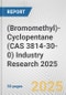 (Bromomethyl)-Cyclopentane (CAS 3814-30-0) Industry Research 2025: Global and Regional Market Trends 2019-2024 and Forecast to 2029 - Product Image