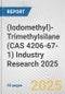 (Iodomethyl)-Trimethylsilane (CAS 4206-67-1) Industry Research 2025: Global and Regional Market Trends 2019-2024 and Forecast to 2029 - Product Image