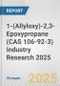 1-(Allyloxy)-2,3-Epoxypropane (CAS 106-92-3) Industry Research 2025: Global and Regional Market Trends 2019-2024 and Forecast to 2029 - Product Image