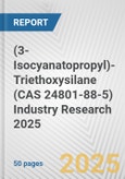 (3-Isocyanatopropyl)-Triethoxysilane (CAS 24801-88-5) Industry Research 2025: Global and Regional Market Trends 2019-2024 and Forecast to 2029- Product Image