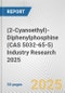 (2-Cyanoethyl)-Diphenylphosphine (CAS 5032-65-5) Industry Research 2025: Global and Regional Market Trends 2019-2024 and Forecast to 2029 - Product Image