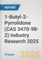 1-Butyl-2-Pyrrolidone (CAS 3470-98-2) Industry Research 2025: Global and Regional Market Trends 2019-2024 and Forecast to 2029 - Product Image