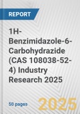 1H-Benzimidazole-6-Carbohydrazide (CAS 108038-52-4) Industry Research 2025: Global and Regional Market Trends 2019-2024 and Forecast to 2029- Product Image