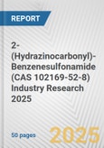 2-(Hydrazinocarbonyl)-Benzenesulfonamide (CAS 102169-52-8) Industry Research 2025: Global and Regional Market Trends 2019-2024 and Forecast to 2029- Product Image