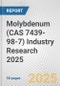 Molybdenum (CAS 7439-98-7) Industry Research 2025: Global and Regional Market Trends 2019-2024 and Forecast to 2029 - Product Thumbnail Image