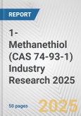 1-Methanethiol (CAS 74-93-1) Industry Research 2025: Global and Regional Market Trends 2019-2024 and Forecast to 2029- Product Image