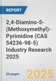 2,4-Diamino-5-(Methoxymethyl)-Pyrimidine (CAS 54236-98-5) Industry Research 2025: Global and Regional Market Trends 2019-2024 and Forecast to 2029- Product Image