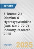 5-Bromo-2,4-Diamino-6-Hydroxypyrimidine (CAS 6312-72-7) Industry Research 2025: Global and Regional Market Trends 2019-2024 and Forecast to 2029- Product Image