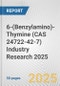 6-(Benzylamino)-Thymine (CAS 24722-42-7) Industry Research 2025: Global and Regional Market Trends 2019-2024 and Forecast to 2029 - Product Image