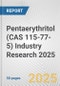 Pentaerythritol (CAS 115-77-5) Industry Research 2025: Global and Regional Market Trends 2019-2024 and Forecast to 2029 - Product Thumbnail Image