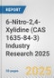 6-Nitro-2,4-Xylidine (CAS 1635-84-3) Industry Research 2025: Global and Regional Market Trends 2019-2024 and Forecast to 2029 - Product Image