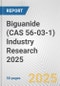 Biguanide (CAS 56-03-1) Industry Research 2025: Global and Regional Market Trends 2019-2024 and Forecast to 2029 - Product Image