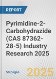 Pyrimidine-2-Carbohydrazide (CAS 87362-28-5) Industry Research 2025: Global and Regional Market Trends 2019-2024 and Forecast to 2029- Product Image