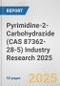 Pyrimidine-2-Carbohydrazide (CAS 87362-28-5) Industry Research 2025: Global and Regional Market Trends 2019-2024 and Forecast to 2029 - Product Thumbnail Image