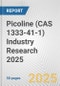 Picoline (CAS 1333-41-1) Industry Research 2025: Global and Regional Market Trends 2019-2024 and Forecast to 2029 - Product Image