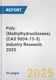 Poly-(Methylhydrosiloxane) (CAS 9004-73-3) Industry Research 2025: Global and Regional Market Trends 2019-2024 and Forecast to 2029- Product Image