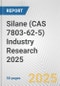 Silane (CAS 7803-62-5) Industry Research 2025: Global and Regional Market Trends 2019-2024 and Forecast to 2029 - Product Image