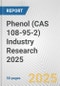 Phenol (CAS 108-95-2) Industry Research 2025: Global and Regional Market Trends 2019-2024 and Forecast to 2029 - Product Image