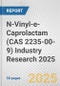 N-Vinyl-e-Caprolactam (CAS 2235-00-9) Industry Research 2025: Global and Regional Market Trends 2019-2024 and Forecast to 2029 - Product Image