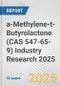 a-Methylene-t-Butyrolactone (CAS 547-65-9) Industry Research 2025: Global and Regional Market Trends 2019-2024 and Forecast to 2029 - Product Image