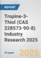 Tropine-3-Thiol (CAS 228573-90-8) Industry Research 2025: Global and Regional Market Trends 2019-2024 and Forecast to 2029 - Product Image