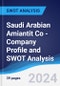 Saudi Arabian Amiantit Co - Company Profile and SWOT Analysis - Product Thumbnail Image