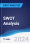 Vietnam Joint Stock Commercial Bank for Industry and Trade - Company Profile and SWOT Analysis - Product Thumbnail Image