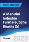 A Menarini Industrie Farmaceutiche Riunite Srl - Strategy, SWOT and Corporate Finance Report - Product Thumbnail Image