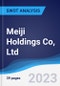 Meiji Holdings Co, Ltd. - Strategy, SWOT and Corporate Finance Report - Product Thumbnail Image