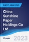 China Sunshine Paper Holdings Co Ltd - Strategy, SWOT and Corporate Finance Report - Product Thumbnail Image