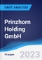 Prinzhorn Holding GmbH - Strategy, SWOT and Corporate Finance Report - Product Thumbnail Image