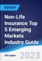 Non-Life Insurance Top 5 Emerging Markets Industry Guide 2018-2027 - Product Thumbnail Image