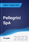 Pellegrini SpA - Strategy, SWOT and Corporate Finance Report - Product Thumbnail Image