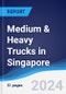 Medium & Heavy Trucks in Singapore - Product Image
