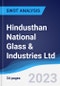 Hindusthan National Glass & Industries Ltd - Company Profile and SWOT Analysis - Product Thumbnail Image