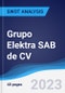 Grupo Elektra SAB de CV - Strategy, SWOT and Corporate Finance Report - Product Thumbnail Image