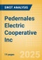 Pedernales Electric Cooperative Inc - Strategic SWOT Analysis Review - Product Thumbnail Image