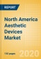 North America Aesthetic Devices Market Outlook to 2025 - Aesthetic Fillers and Aesthetic Implants - Product Thumbnail Image
