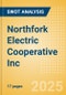 Northfork Electric Cooperative Inc - Strategic SWOT Analysis Review - Product Thumbnail Image