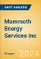 Mammoth Energy Services Inc (TUSK) - Financial and Strategic SWOT Analysis Review - Product Thumbnail Image