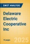 Delaware Electric Cooperative Inc - Strategic SWOT Analysis Review - Product Thumbnail Image